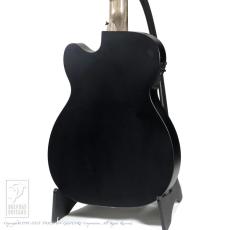 Martin Alternative X_4