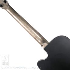 Martin Alternative X_6