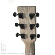 Martin Alternative X_8