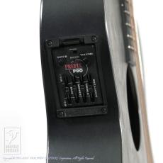 Martin Alternative X_10