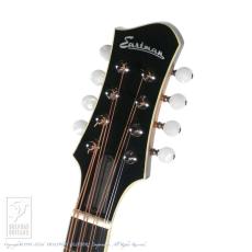 Eastman MDO-605 (Octave Mandolin) _7