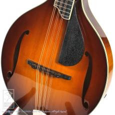 Eastman MDO-605 (Octave Mandolin) _11