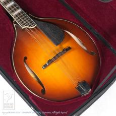 Eastman MDO-605 (Octave Mandolin) _13