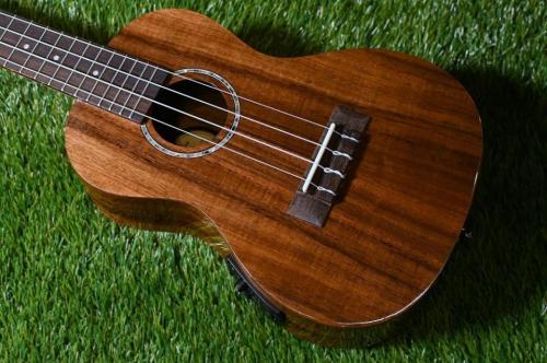 DCT DUC-152KE Concert