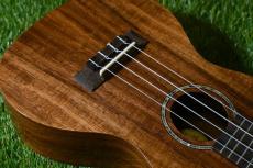 DCT DUC-152KE Concert_10