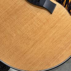 Taylor 【試奏動画あり】314ce #1202026057【立体的に響く良個体】【新仕様】【送料当社負担】【池袋店在庫品】_14