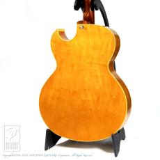 KING SNAKE CURTIS Deep Body Amber Natural_4