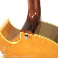KING SNAKE CURTIS Deep Body Amber Natural_13