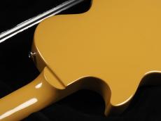 Gibson Les Paul Junior 2015  ~Gloss Yellow~_12
