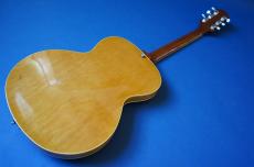 KING SNAKE Muddy / non-cutaway_2