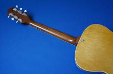 KING SNAKE Muddy / non-cutaway_5