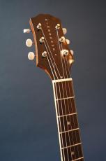 KING SNAKE Muddy / non-cutaway_8