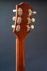 KING SNAKE Muddy / non-cutaway_9