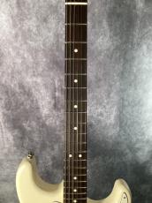 Fender American Professional Stratocaster HH Shawbucker_3