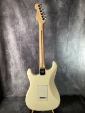Fender American Professional Stratocaster HH Shawbucker_5