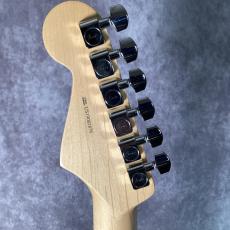 Fender American Professional Stratocaster HH Shawbucker_6