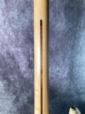 Fender American Professional Stratocaster HH Shawbucker_7