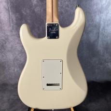 Fender American Professional Stratocaster HH Shawbucker_8