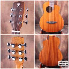 aNueNue aNN-M25E_2