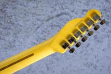 Fender American Professional II Telecaster MN / Butterscotch Blonde [#US24034924][3.25kg]_8