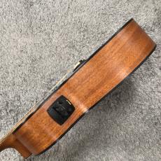 Baton Rouge AR19S/ACE 【エレアコ】_10