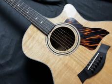 Taylor 314ce J-Spec_6