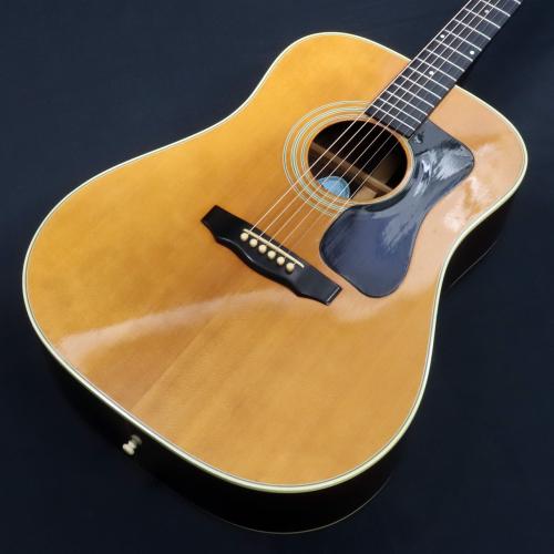 Guild D-50 NT