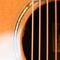 Larrivee L-10MR CUSTOM FRIENDSHIP ANNIVERSARY_10