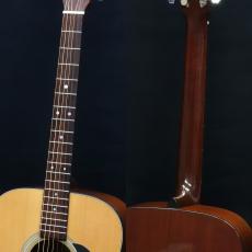 Martin D-18_8