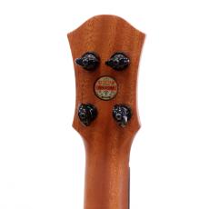 aNueNue KYAS Signature Model aNN-BWhale2 E (s/n AN00294)_7