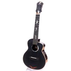 aNueNue KYAS Signature Model aNN-BWhale2 E (s/n AN00280)_2