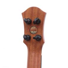 aNueNue KYAS Signature Model aNN-BWhale2 E (s/n AN00280)_7