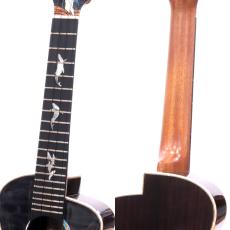 aNueNue KYAS Signature Model aNN-BWhale2 E (s/n AN00280)_8