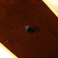 Gibson J-45 1949_10