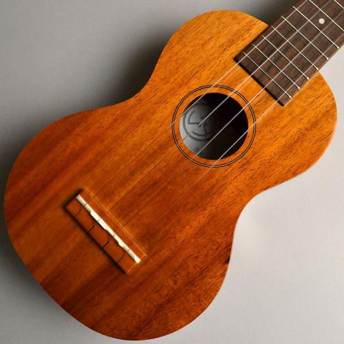 Famous FS-5G 【送料無料】