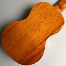 Famous FS-5G 【送料無料】_4