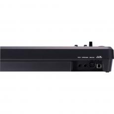 Roland A-49 (ブラック) MIDIキーボード・コントローラー 49鍵盤 【ローランド A49】【幕張DTM】_3