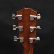Taylor 312ce_7