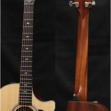 Taylor 312ce_8
