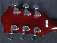 Gretsch G2655T Streamliner Center Block Jr. Double-Cut with Bigsby Tropico ❀早春SALE✿_9