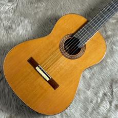 KENNETH HILL シグネイチャー/インディアンローズ/杉