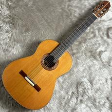 KENNETH HILL シグネイチャー/インディアンローズ/杉_2