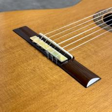 KENNETH HILL シグネイチャー/インディアンローズ/杉_8