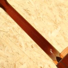 Taylor LKSM-6 1996_7