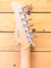 FERNANDES FR-STANDARD '16/FRD/Modify/S.Duncan PU_4