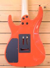 FERNANDES FR-STANDARD '16/FRD/Modify/S.Duncan PU_5