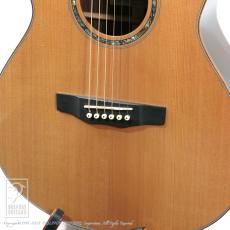 Morris S-102 Ver.III_12