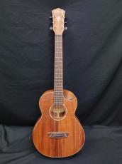 Washburn G-MINI 55 KOA