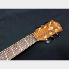 Washburn G-MINI 55 KOA_9