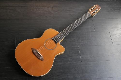 Carruthers Guitars ACN High-end  極上エレガット